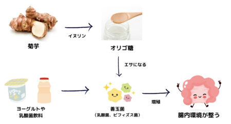 イヌリンの3つの効果 - 副作用や多く含む食べ物について解説