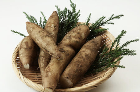 キクイモに似た芋 - ヤーコンの栄養と食べ方|おすすめレシピまで徹底解説!