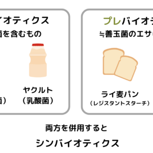 プロバイオティクスとプレバイオティクスの違い
