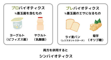 プロバイオティクスとプレバイオティクスの違い
